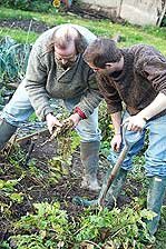 Newhouse Farm Garden